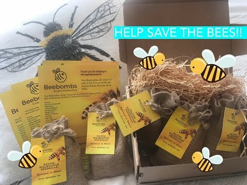 download lagu mp3 mp4 Beebombs, download mp3 Beebombs free download mp3, download mp3 Beebombs