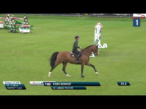 Lamaze TN (Grandorado TN x Carthago) at Jerez 2023