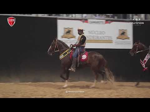 Campeões Brasileiros de Marcha Batida Cavalos 2020