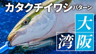 [jigging] Osaka Bay season&#39;s first white-eye! blue back fish-backed fish BIG BACKER &quot;embankment GAME2022&quot; / Mitsuteru Kanai Akinobu Uenishi