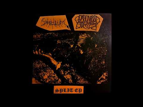 Speculum / Gorgonized Dorks - Split (2005 Grindcore/Noisecore)