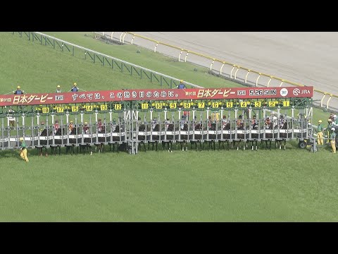 2024 TOKYO YUSHUN (JAPANESE DERBY) (G1) | JRA Official
