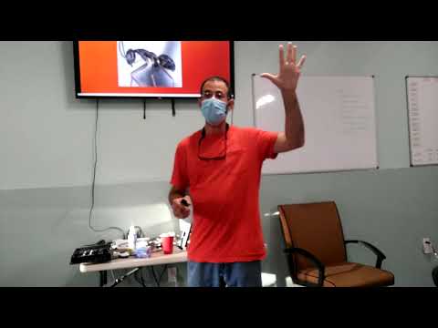 Pest Geek Pest Control Training Academy Tramp Ants Understanding Their Biology Behavior.