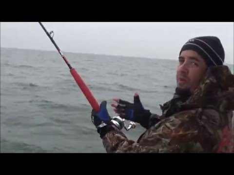How to calibrate your SIMRAD Heading Sensor! Its Easy IMPORTANT! Simrad NSS Evo2 -NSO Evo2- NSE