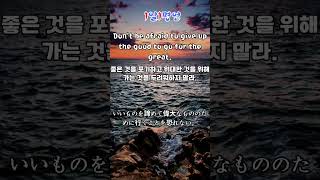 유튜브 썸네일