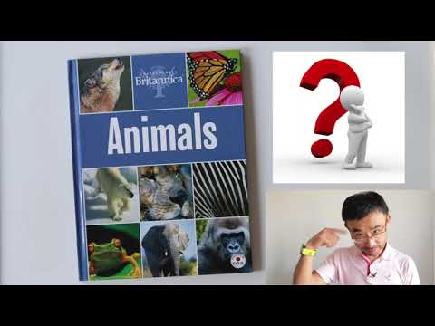 猜动物 Guess Animals