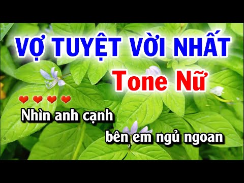 Karaoke Vợ Tuyệt Vời Nhất- Tone Nữ- Nhạc Sống Tuyết Mai