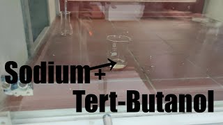 Sodium reacts with Tert-Butanol  ( tert-Butyl alcohol / 2-Methyl-2-propanol )