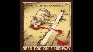 The Dad Horse Experience - Dead Dog on a Highway (with lyrics)