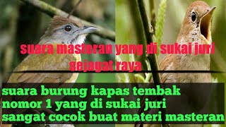 Download lagu MASTERAN SUARA BURUNG KAPAS TEMBAK||gacor pilihan juri mp3 Download lagu MASTERAN SUARA BURUNG KAPAS TEMBAK||gacor pilihan juri mp3