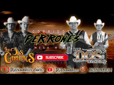 Mix de Corridos/ Los Dos Carnales y Los Dos de Tamaulipas🔥🔥🔥/ Dj ezkandalozo