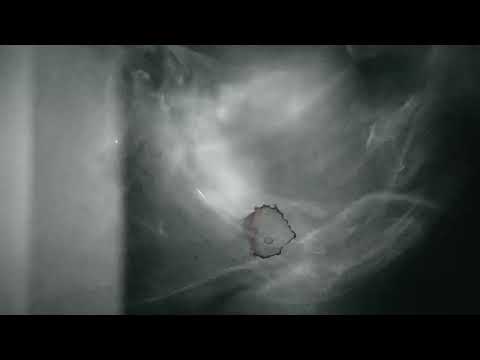 Ramirez - Scrapin Tha Corner (Official Visualizer)