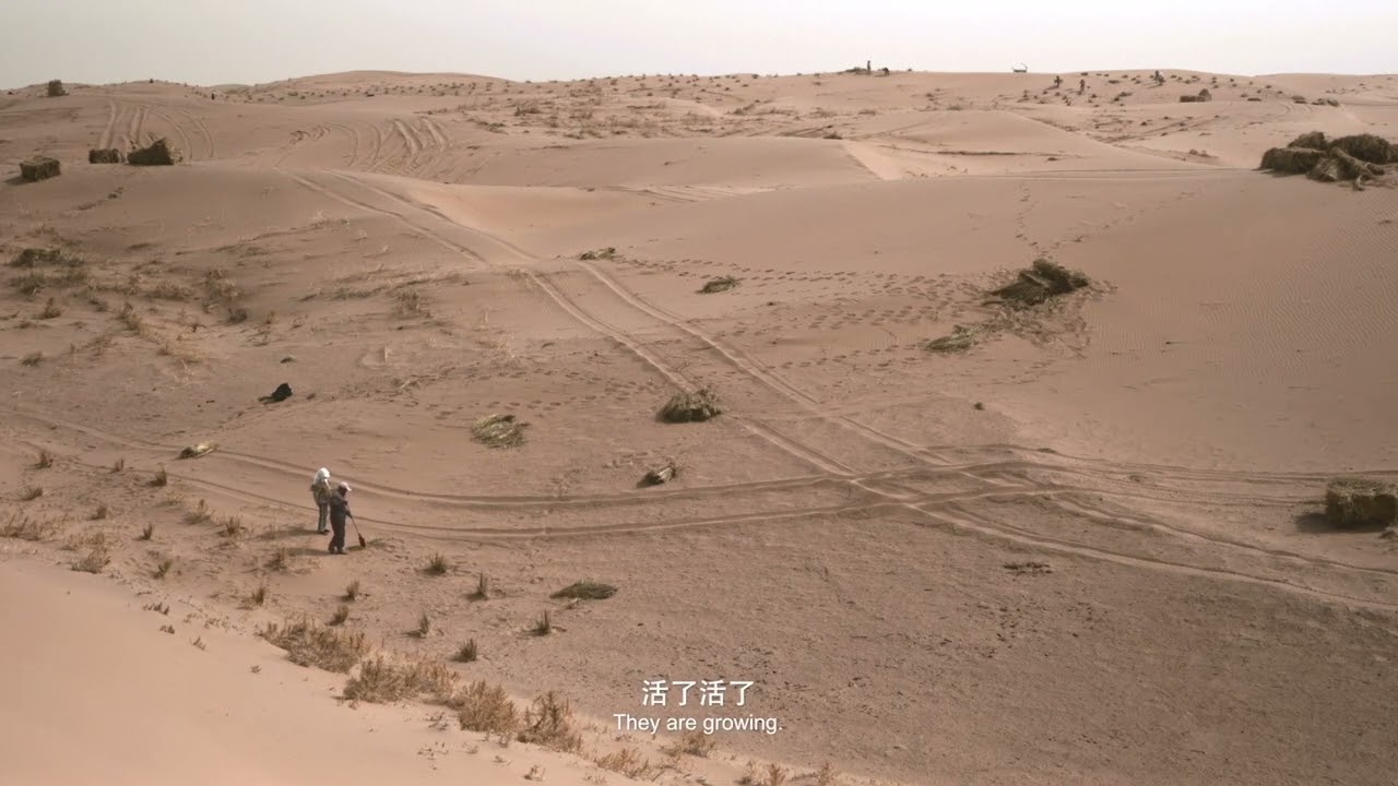 Before Sandstorm - TRAILER