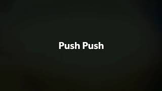 Push Push ft.Pussy Riot - ACAB