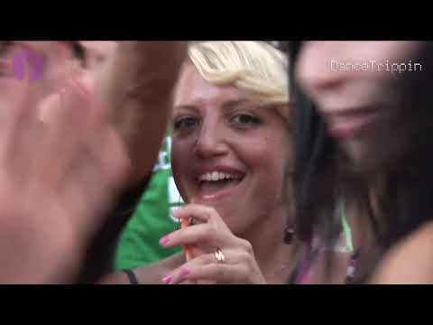 Gow | Zoo Project | Ibiza