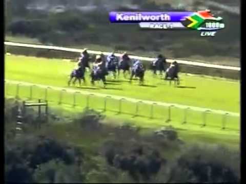 Course de reference - Tiger's Wild - Racing Association