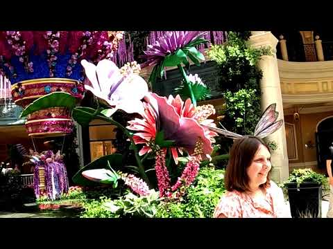 Celebrating summer 2024 in technicolor: Bellagio Conservatory & Botanical Gardens goes high flying