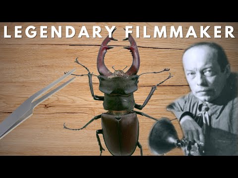 Stop Motion Began with BEETLES