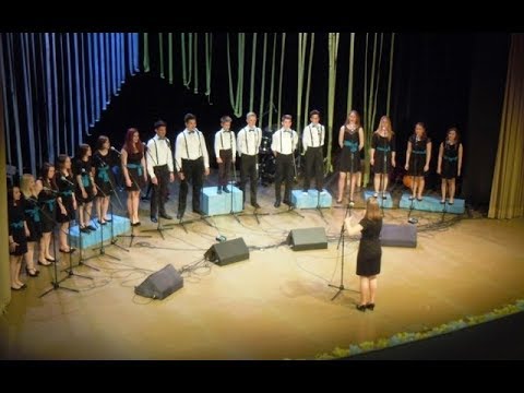 Euphoria - Loreen - acapella cover by Choir Sled (live)