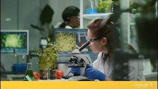 Food Safety and Nutrition