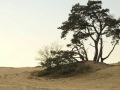 Brewer & Shipley - Rise Up (Easy Rider) (album ...