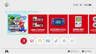 スーパーマリオブラザーズワンダー（タイトル通り）