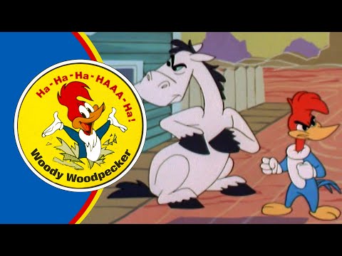 Woody Saves HIs Best Friend | 2.5 Hours of Classic Episodes of Woody Woodpecker