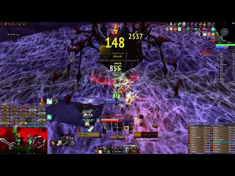 Former World record Naxxramas in 1:03:56 by Salad bakers Drast Fury Warrior PoV