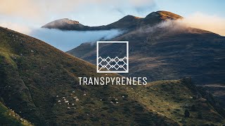 Transpyrenees