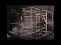 David Bowie CAT PEOPLE Top Of The Pops UK TV 1982 Zoo Dancers