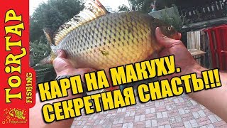 Когда и где ловить карпа в днепре