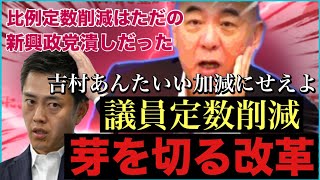 【日本保守党】比例定数削減はただの新興政党潰しだった⁈『芽を切る改革』とは