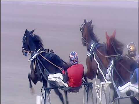 Trotto 27/12/2019 - 5ª corsa