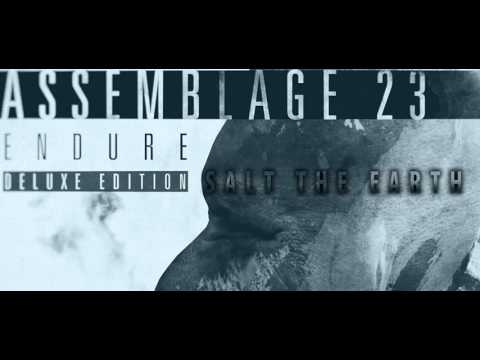 Assemblage 23 - Endure Deluxe Edition (Full Album)