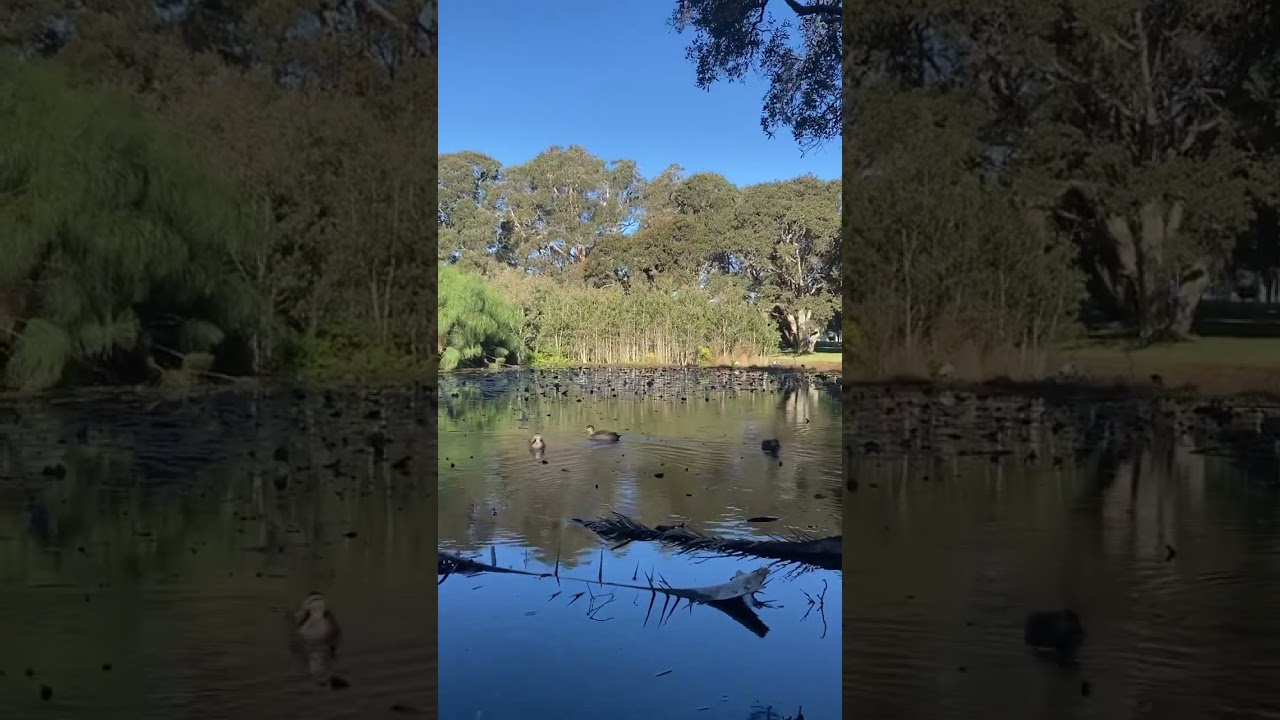 YouTube Short thumbnail