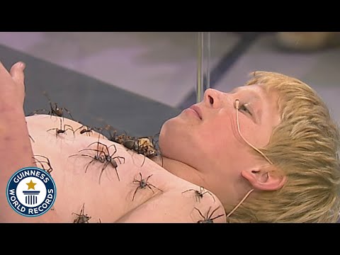 , title : 'Most spiders on the body - Guinness World Records'