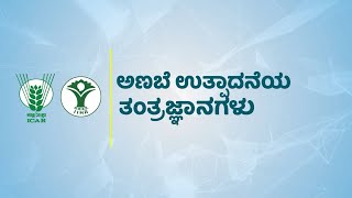 Mushroom Production and Technologies