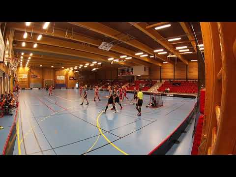 Herrjuniorer Skövde IBF