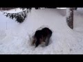 Snow Cave Thx 2 Storm Nemo