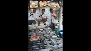preview picture of video 'Soax Fishing Team - Mancing Dasaran'