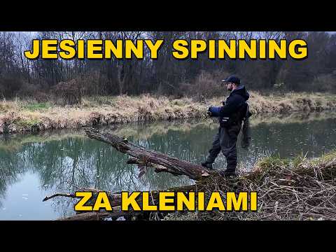 Wisłoka, Ropa i Jasiołka w Jeden Dzień! | Jesienny Spinning na Rzece