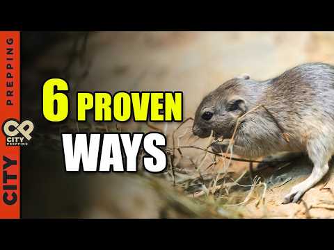 @CityPrepping - "6 Proven Ways to Keep Rodents Out of Your Garden (Without Poison)"