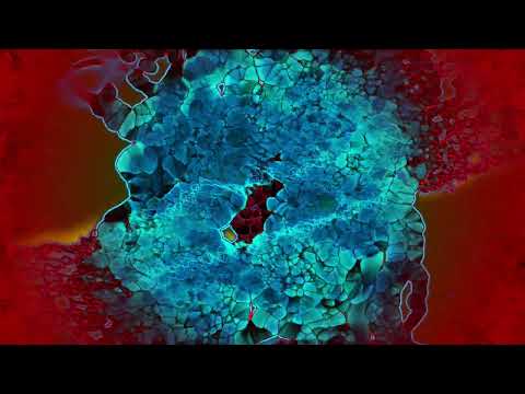 Magic Juice - Find You Now