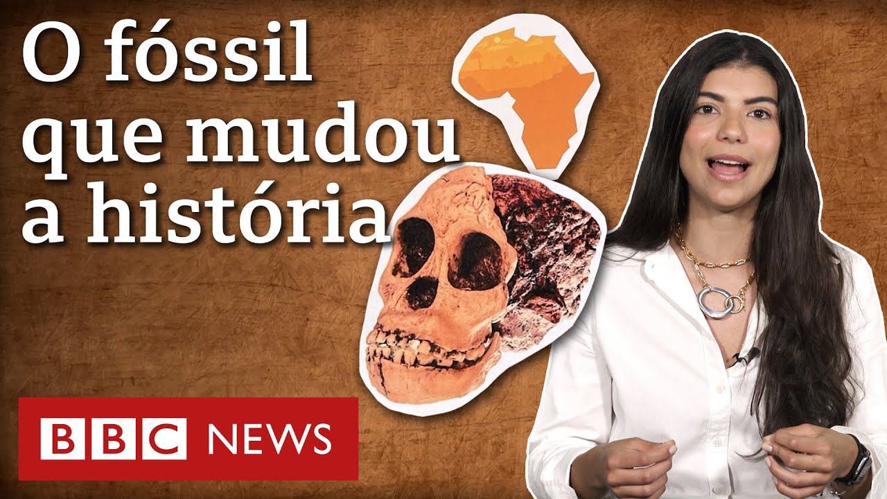 Criança de Taung: a descoberta que provou que humanos vieram da África - e não da Europa
