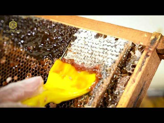 عسل ربيع البسباس | 250 جرام