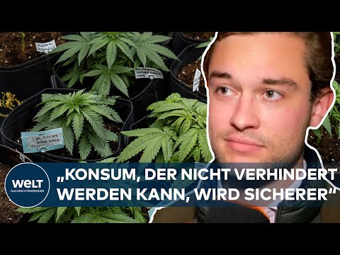 LEGAL KIFFEN?: Lauterbach stellt Eckpunkte für Cannabis-Legalisierung vor