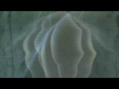 Rxmeo X ABGOHARDは - それを手放す（ビデオ(Video)