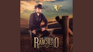 Tu Desastre Lyrics English Translation