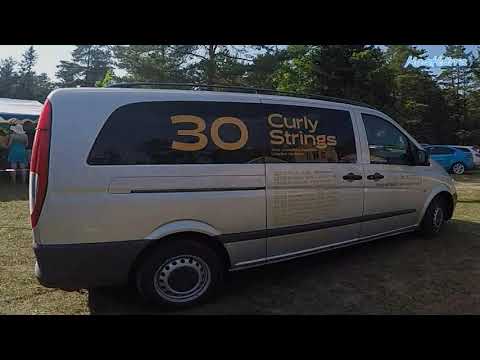 Curly Strings - Elumäng