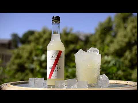 download lagu mp3 mp4 Luscombe Ginger Beer, download lagu Luscombe Ginger Beer gratis, unduh video klip Luscombe Ginger Beer